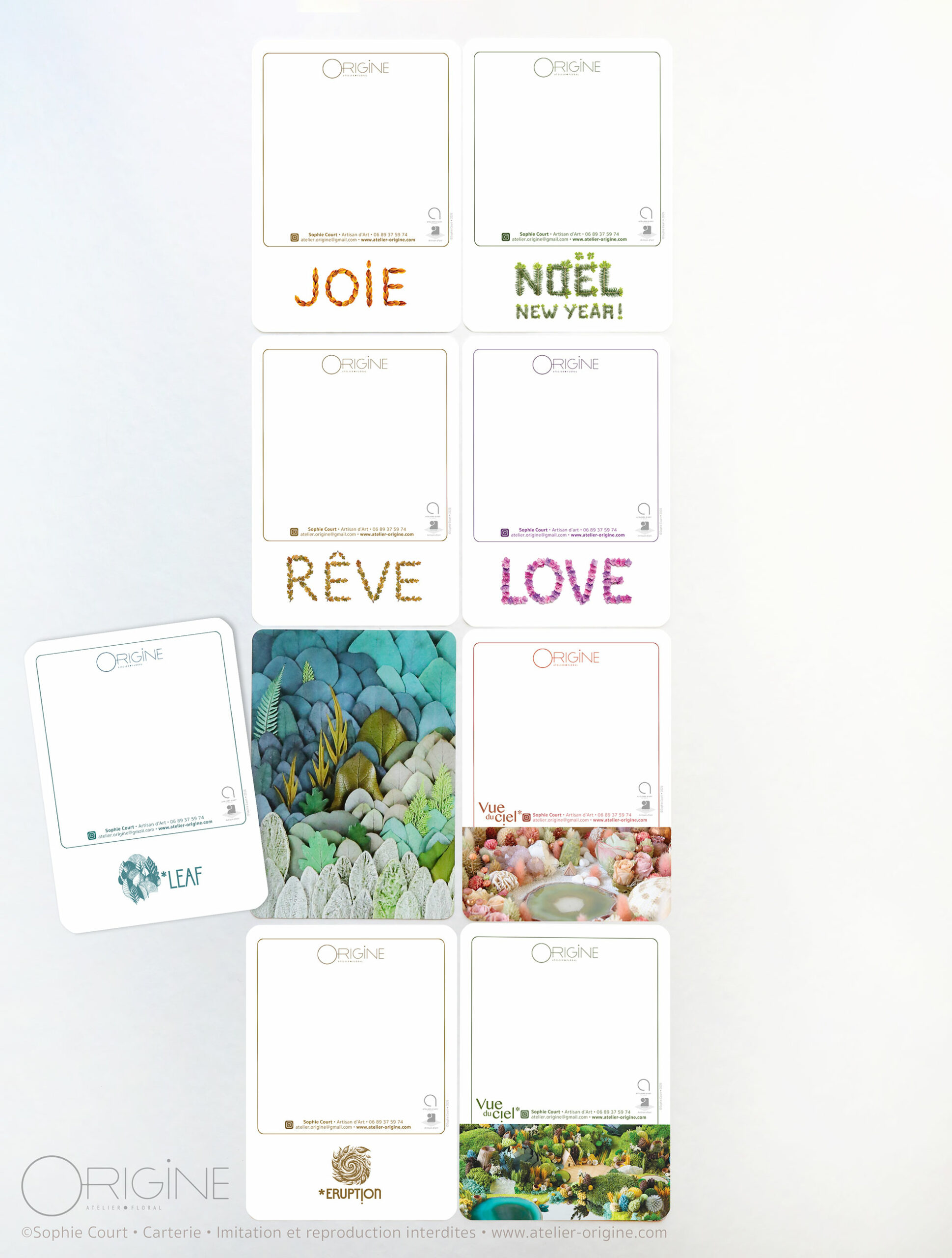 planche-carte-postale-origine-atelier-floral-couleur-1